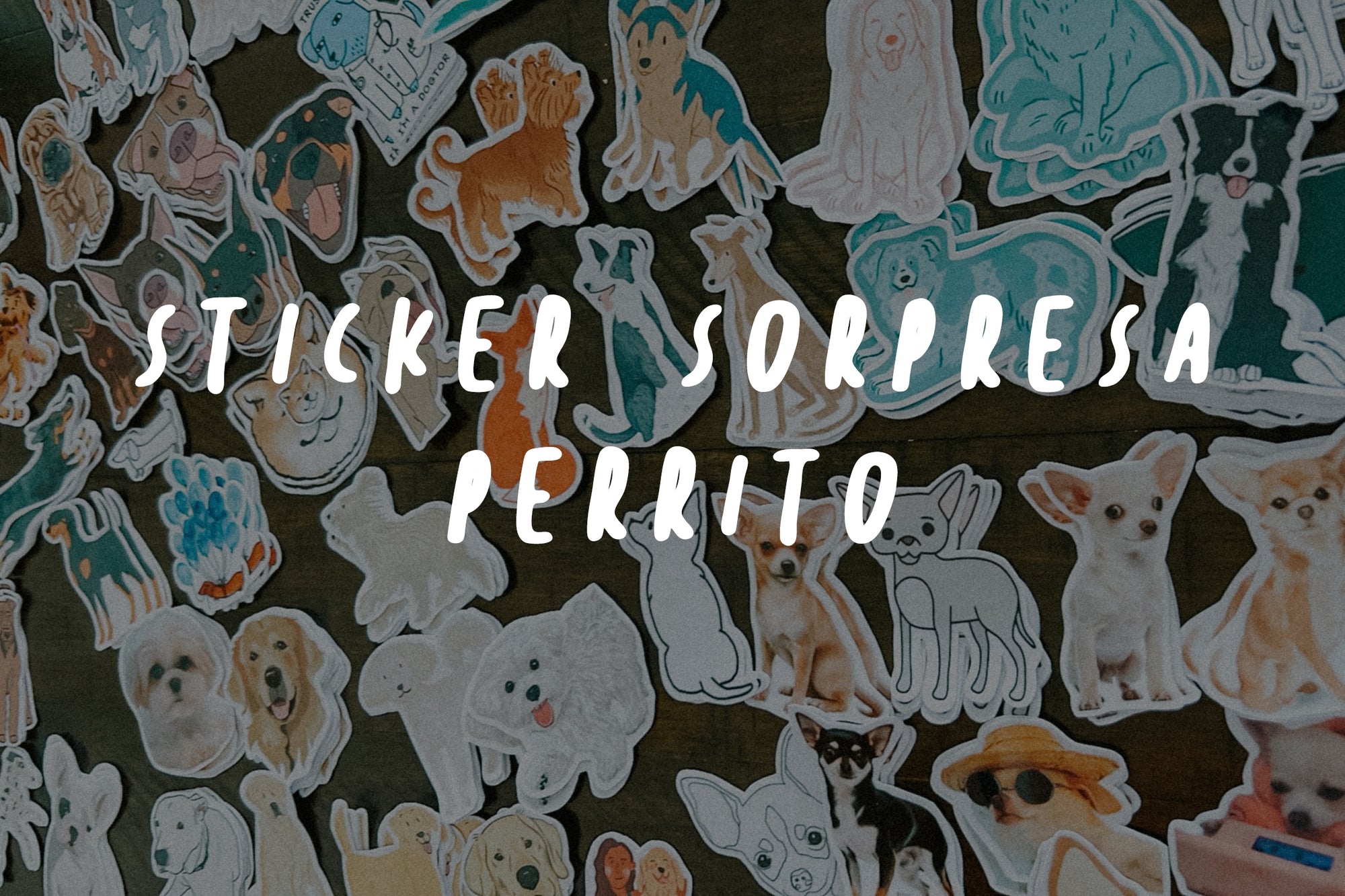 Sticker sorpresa perrito